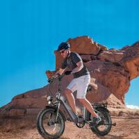FAFREES FF20 Polar Bicicleta Eléctrica, SHIMANO de 7 velocidades, frenos de disco mecánicos, pantalla LCD en color, motor de 860W, batería de 48V 20.8AH, suspensión delantera, alcance de 96-115km, neumático inflable de 20*4,0 pulgadas, azul - details 12