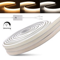 Tira de luces LED COB regulable para exteriores, cinta de 288leds/M con enchufe europeo de 220V, RA90, de alto brillo, para iluminación de jardín, dormitorio y cocina - details 3