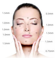 Ultima-A10 Sistema de microagujas avanzado Potente inalámbrico Dr. Pluma A10 Original Microneedling Pen Derma Auto Pen - details 2