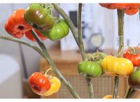 Nuevo adorno de espuma de rama de calabaza Artificial Multicolor, accesorios para fotos de fruta de imitación, regalo de rama de calabaza de simulación - details 4