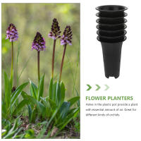 ETA de plástico alto para orquídeas, ETero doméstico con orificios laterales, 6 piezas. - details 6