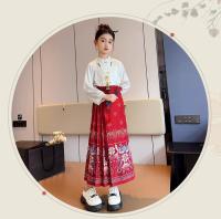Falda Ma Mian para niñas, ropa estilo Tang, nuevo estilo de hadas de verano Hanfu, vestido súper hermoso, estilo occidental - details 7