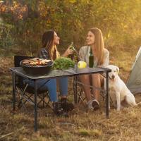 Mesa Plegable, fácil de Guardar, Mesa de Picnic compacta y portátil para Parrilla, Camping al Aire Libre, jardín, Patio, Comedor, Barbacoa, Fiesta, Mercado, 3 pies (Mediana, Plateada) - details 23