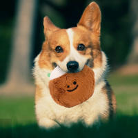 Juguete de Perro Cocoanut Resistente al Desgaste Duck con Voz para Mascotas - details 6