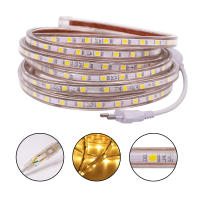 Tira de luces LED de 220V, cinta Flexible resistente al agua, 60LEDs/m, SMD 5050, con enchufe europeo, decoración del hogar, Blanco cálido/azul - details 0