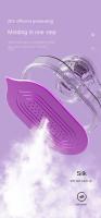 Vaporizadores de ropa de mano, prensa colgante pequeña, 220V, 26w, 60ML - details 6
