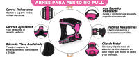 Arnes Perro
