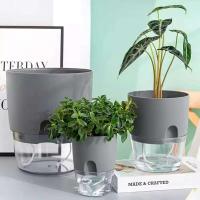 Plástico usado autoirrigación de plantas hidropónicas, ETEros en jugoso ETA, decoración de escritorio transparente para hogares y oficinas - details 3
