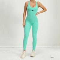 Mallas deportivas ahuecadas plisadas para otoño e invierno, conjunto de mono de Yoga, Leggings deportivos sin espalda que se abrazan al cuerpo, nuevo - details 51
