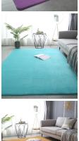 Alfombra de Terciopelo Coral para Decoración de Sala de Estar Moderna Espesora Corta Alfombra de Juego para Habitación de Niños Cojín para Balcón - details 11