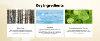 key ingredients