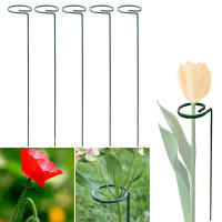 Soporte de anillo de soporte de pila de patio trasero de vástago único para el hogar largo, Estaca de soporte de plantas, herramienta de jardín - details 1