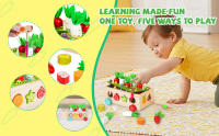 Motor Skills Educational Toys