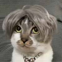 Pelucas divertidas para perros y gatos, accesorios para mascotas, cosplay - details 1