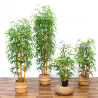 Simulación de paisaje verde con bambú artificial en macetas - details 0