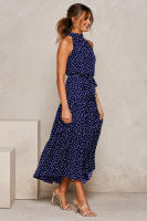 Vestido largo de mujer europea y americana 2025, nuevo vestido con cordones, estampado de lunares y cuello. - details 21