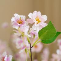 Ramas de flores de cerezo artificiales de 90cm, flores de cerezo de seda elegantes de tacto Real, flores falsas de plástico hechas a mano para el Día de San Valentín - details 1