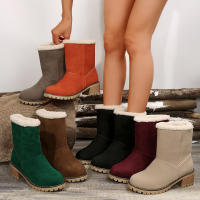Botas de nieve de gamuza con tacón grueso para otoño e invierno, zapatos de algodón con manga de ocio, Color sólido, novedad de 2024 - details 0