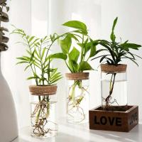 1 unidad, florero de cristal para plantas para ración doméstica, estación de propagación de plantas, florero de brotes, hidroponía de escritorio - details 4
