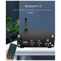 AMPLIFICADOR DE POTENCIA Digital TPA3116, dispositivo HiFi estéreo con Bluetooth 5,3, decodificador USB, 50W + 50W, enchufe estadounidense, B - details 7