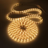 GAHADA Tira de LED Flexible 220V 60LEDs/m Iluminación y Decoración Impermeable con Enchufe de Interruptor EU - details 8