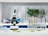 The Pierre Fabre Botanical Expertise