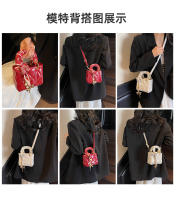 Bolso de Mano de Niche de Alta Gama Estilo Americano Mini Diana Bolso Nueva Moda Primavera-Verano2025 Bolsos y Organizadores de Maquillaje - details 8