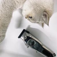 Professional Dog Hair Shaver Pet Electric Clipper Cat Hair Clipper Set Hair Clipper Pet Supplies Trimming Tools Low Noice - details 2