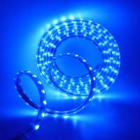 Tira de luces LED de 220V, cinta Flexible resistente al agua, 60LEDs/m, SMD 5050, con enchufe europeo, decoración del hogar, Blanco cálido/azul - details 6