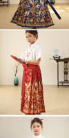 Nuevo conjunto Hanfu con cara de caballo para niñas, estilo Tang antiguo chino Ming para niños, primavera y verano diarios - details 11