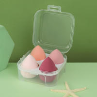 Huevos de Belleza Aerosol en Polvo Paquete de 4 Recaudos con Caja de Almacenamiento Seco y Húmedo - details 1