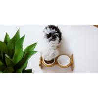 Small Image lonh