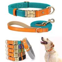 Collar nailon personalizado perro y cachorro, conjunto correa cuero genuino personalizado, placa de identificación mascotas, - details 1