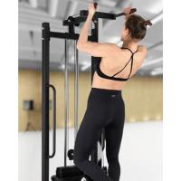 jaula musculacion
