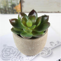 Plantas Suculentas Realistas Mini Jardines Nsai para Decoración del Hogar, Balcón, Oficina - details 4