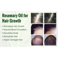 rosemary oil for hair growth