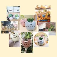 ETA i ued para un agujero de planta jugoso, macizo de flores con un hermoso animal, lindo gato, decoración de jardín, bonai ETA, cumpleaños - details 11