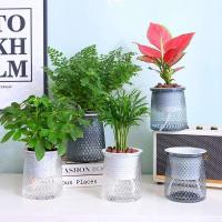 ETA hidropónico perezoso absorbente de agua de riego automático, mini jarrón de mesa de comedor ETA jugoso, decoración de bonsái para el hogar - details 2
