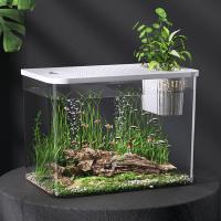 Tanque de peces transparente creativo con tapa, tanque de tortuga pequeño, tanque de acuario Betta resistente a caídas para decoración del hogar - details 7