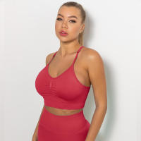 Hamidou-sujetadores deportivos para mujer, ropa interior para gimnasio, correr, a prueba de golpes, transpirable, sin mangas, para Yoga - details 10