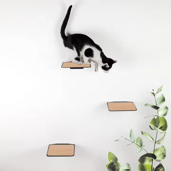 LucyBalu. ®   Juego de 3 paredes de escalada para gatos |   Escaleras para gatos para paredes interiores y exteriores |   Parque de pared para gatos de hasta 7 kg |   Pasos para fijación en la pared - 1