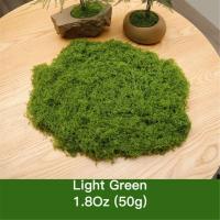 Mini Grass Country, musgo verde Artificial eterno, manualidades caseras, sala de estar, jardín, decoración de plantas, 30/50/100g - details 7