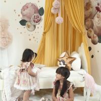 Red de Mosquitos Nórdica Nueva Estilo Princesa Chifón para Niños y Bebés Cortina de Cama de Poliéster/Algodón Normal Producto para Decoración y Iluminación - details 10