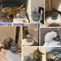 1.8L Smart Pet Water Fountain, Automatic Cat Water Fountain, Transparent Ultra Quiet Cat Water Dispenser For Indoor Cats - details 2