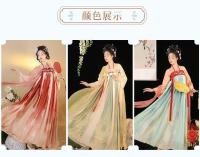 Nuevo Hanfu para adultos para mujer [Dream of Chang'an] falda Ru hasta el pecho estilo antiguo repollo primavera verano uso diario - details 3