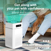Purificador de aire con filtro Hepa, generador de iones negativos, eliminador de olor a humo, formaldehído, para habitación de coche y cocina - details 7