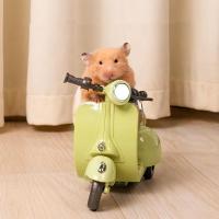 Mini Scooter Eléctrico de iluminación para acrobacias, motocicleta, suministros para mascotas, juguete para hámster - details 1