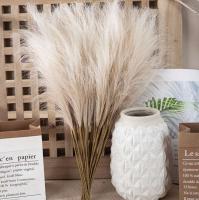 Vidor Pampas Bohemio Plantas Florales Artificiales para Decoración de Boda, Fiesta, Hogar - details 4