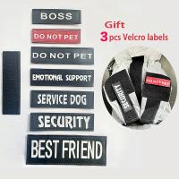 Chaqueta impermeable para perros Reflectante Solar para exteriores Ropa de abrigo para perros pequeños medianos y grandes - details 8