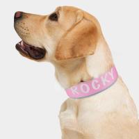 Collar ancho personalizado perros, collares acolchados nailon identificación mascotas, collar nombre de con estampado gratuito - details 15